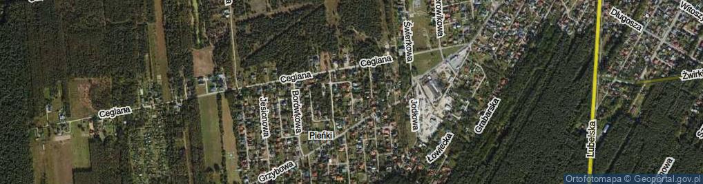 Zdjęcie satelitarne Iglasta ul.